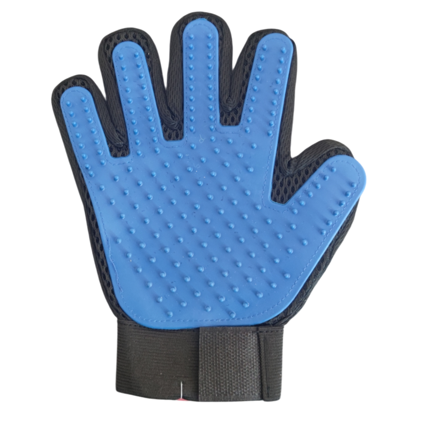 4533df0b241eec2cc294f80b7b80421a