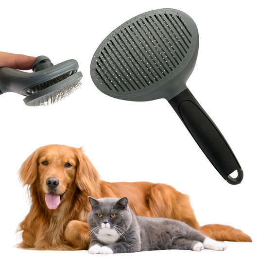 59c761364fa6ac3339a2c7216d4f040a