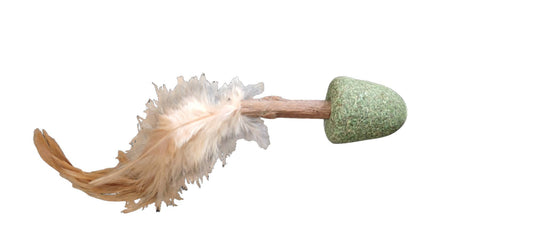 a06b5855164a55bda175fe360a20a75a