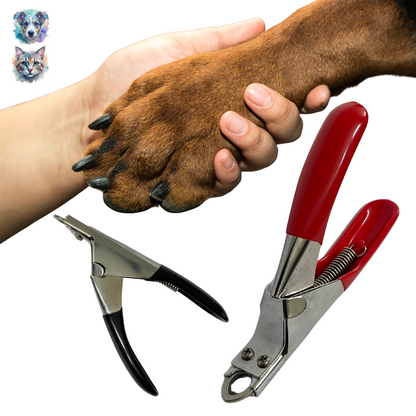 2dc033984e0db30f1498092e2adf64c6